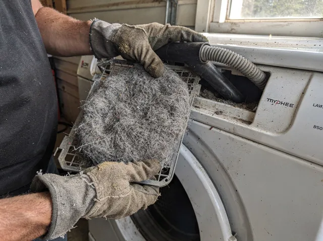 Cleaning Dryer Lint Trap in Winchester